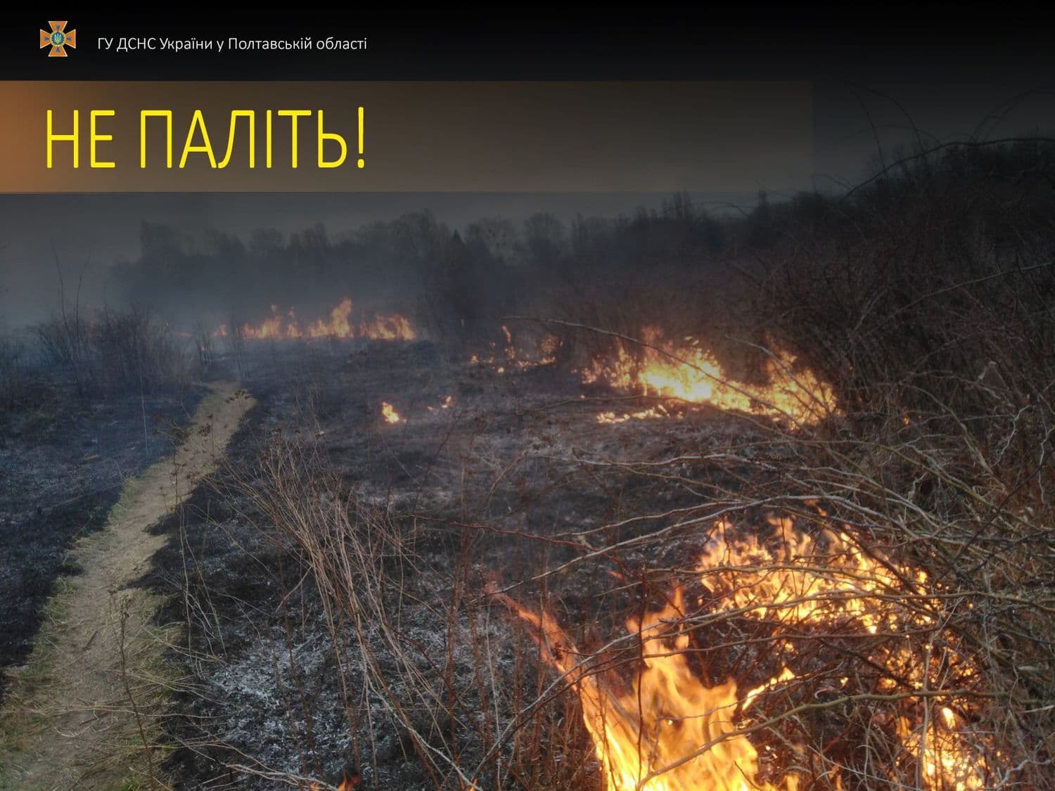 На Миргородщині жінка отримала опіки під час спалювання сухостою