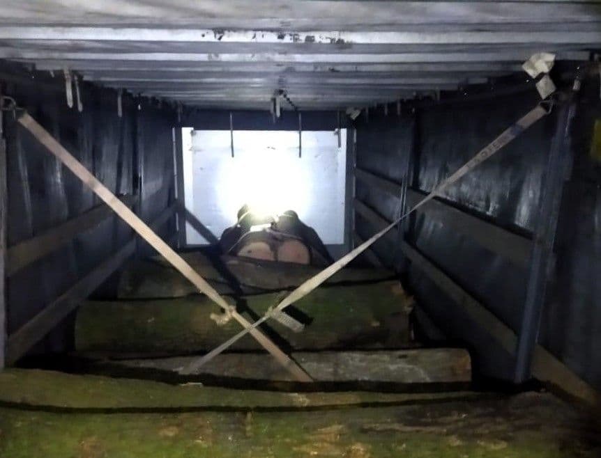 На Полтавщині судитимуть працівників лісництва, які розкрадали деревину