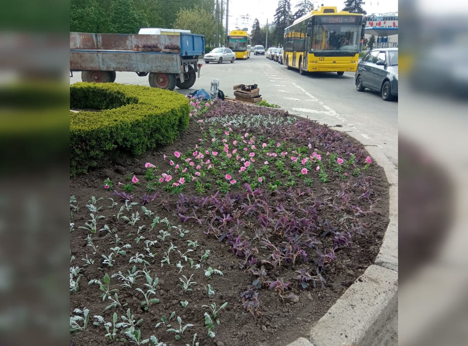 У Полтаві облаштовують міські клумби та парки