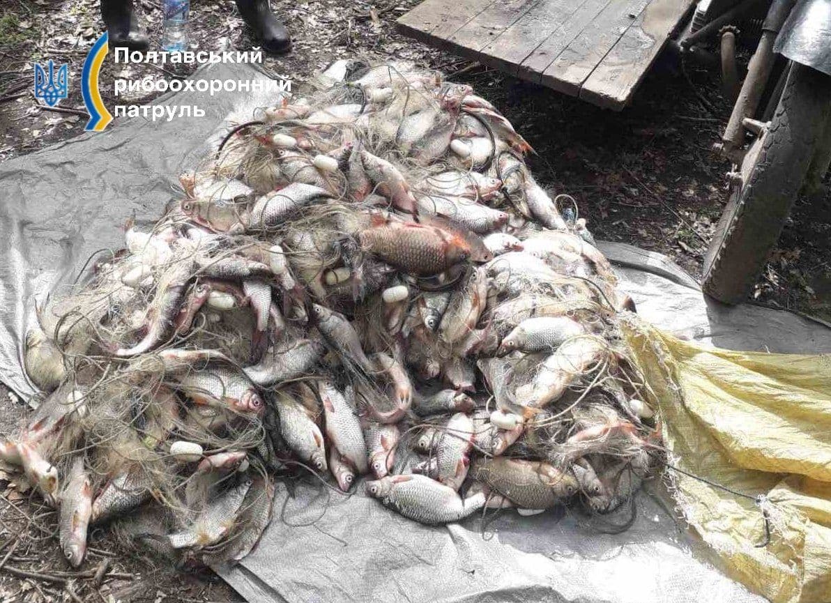 Наловив риби на майже 100 тисяч: на Полтавщині спіймали браконьєра