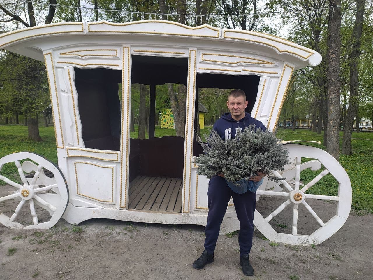 У Полтаві в парку «Перемога» висадять 300 кущів лаванди