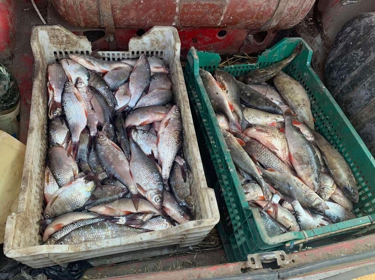 У Кременчуцькому водосховищі браконьєр виловив риби на 378 тисяч гривень