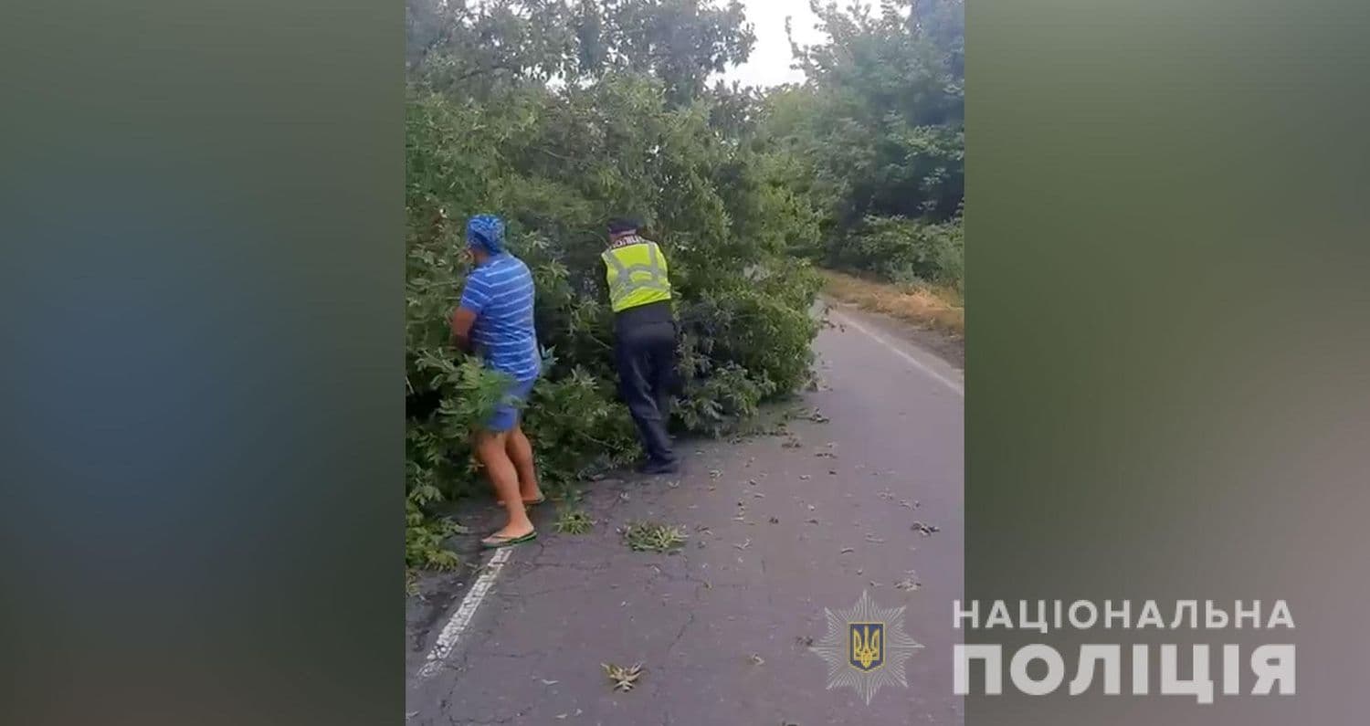 Полтавщиною гуляла негода: поліцейські Миргородщини прибрали з дороги повалене дерево (фото)