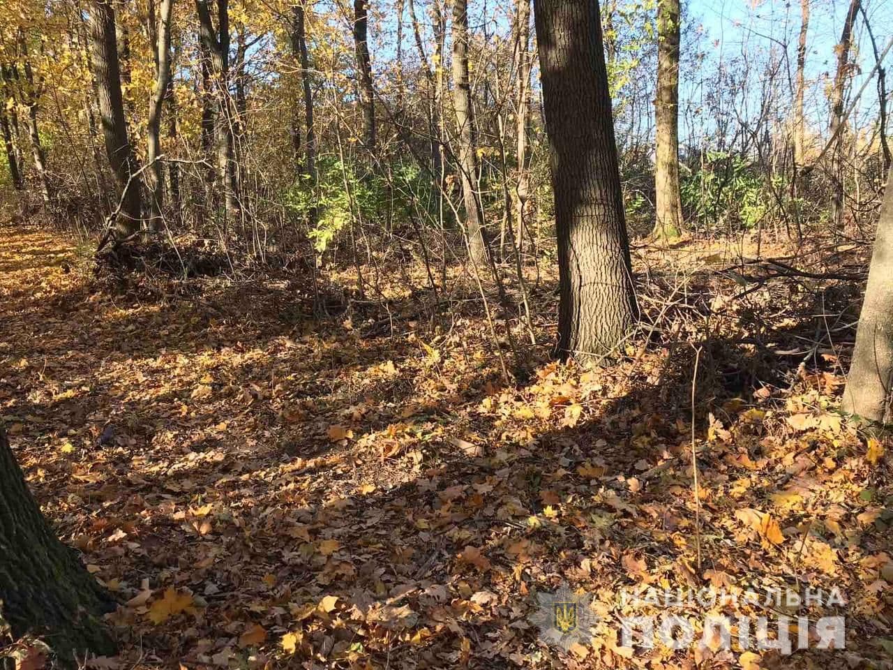 У Полтаві в лісі побили чоловіка: нападника взяли під домашній арешт