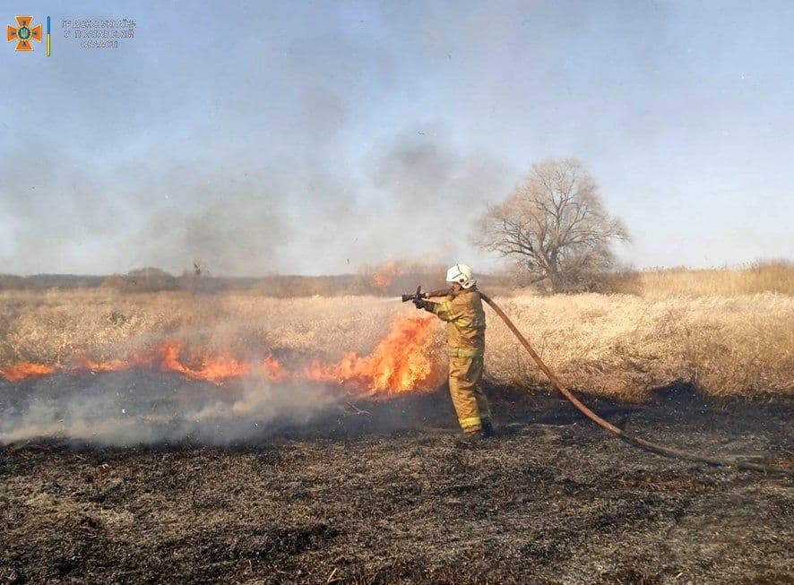 На Полтавщині вигоріло 43 гектари сухої рослинності