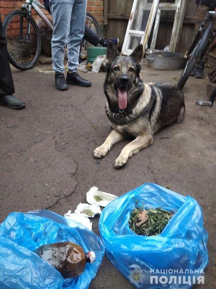 На Полтавщині у двох чоловіків виявили схованки з наркотиками