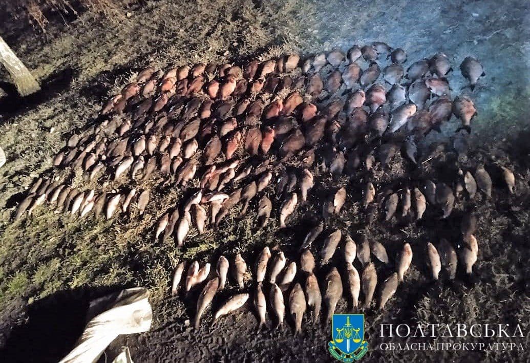 На Полтавщині двоє браконьєрів наловили риби на майже 1,3 млн грн