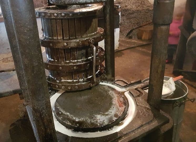 На Полтавщині відтворюють процес виготовлення олії 19-го століття