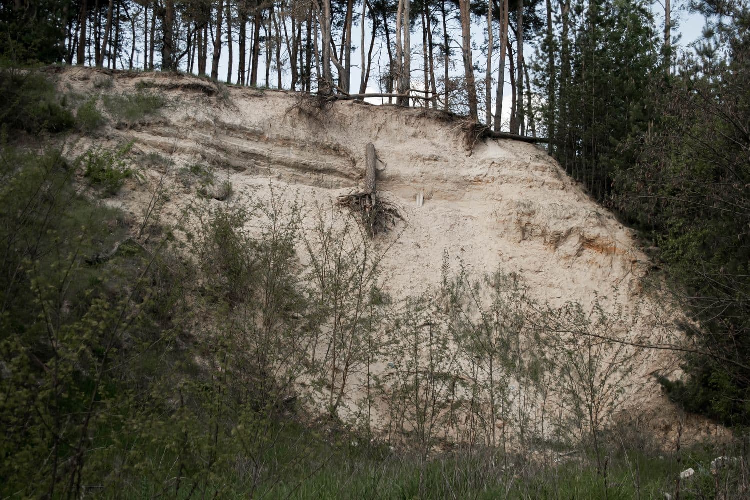 Історія поселення, що старіше від Полтави та благодійний концерт на підтримку військових — головне за 30 травня