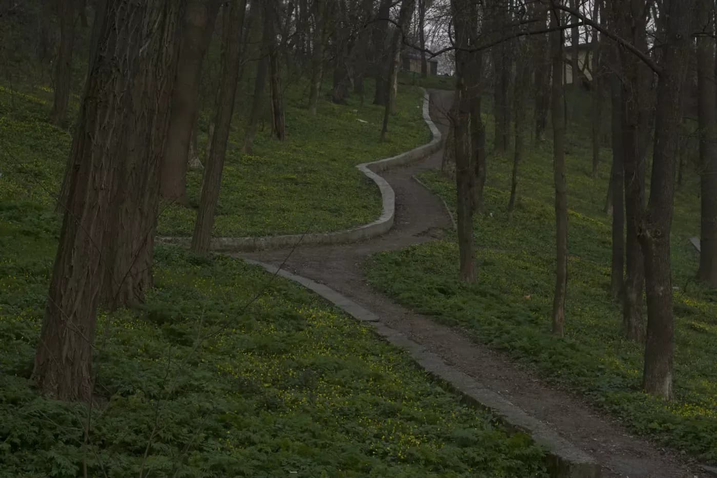 Історія парку «Перемога» в Полтаві та закупівля ноутбуків у Кременчуці — головне за 16 серпня
