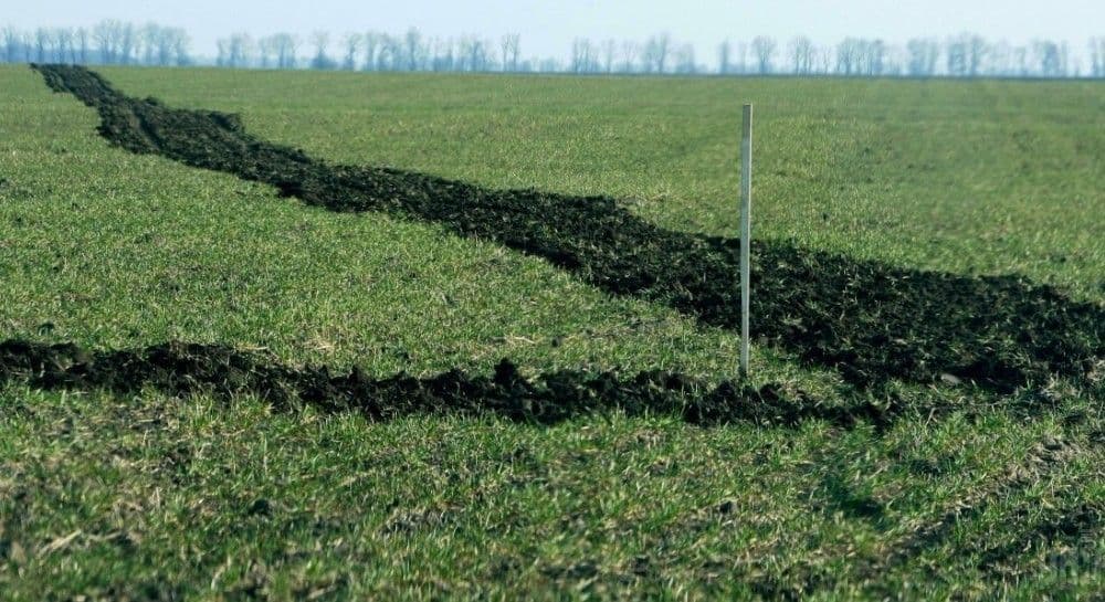 Полтавський суд зобов’язав сільськогосподарське підприємство сплатити 140 тисяч гривень боргу за оренду землі