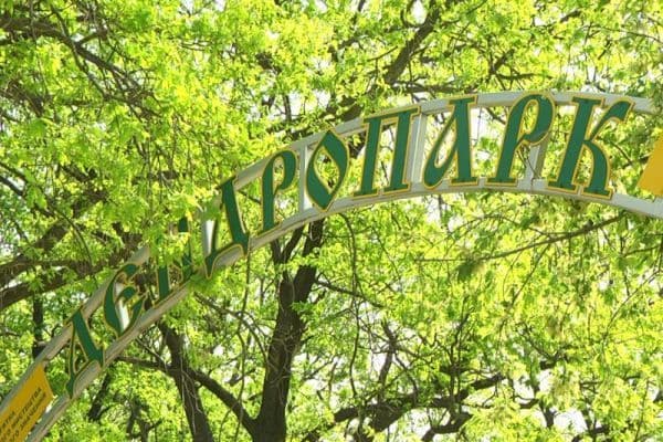 У Полтаві планують відремонтувати дендропарк: які роботи проводитимуть