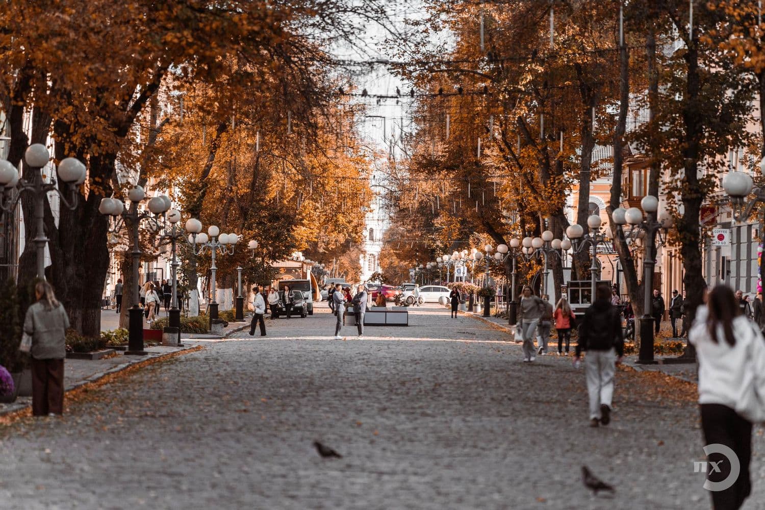 Цими вихідними на Полтавщині похолодає