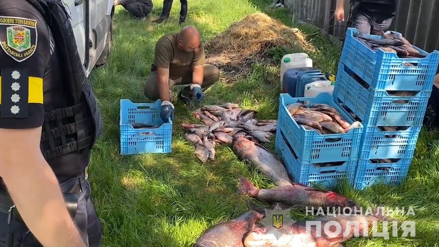 За час нерестової заборони на Полтавщині браконьєри наловили риби на понад 23 мільйони
