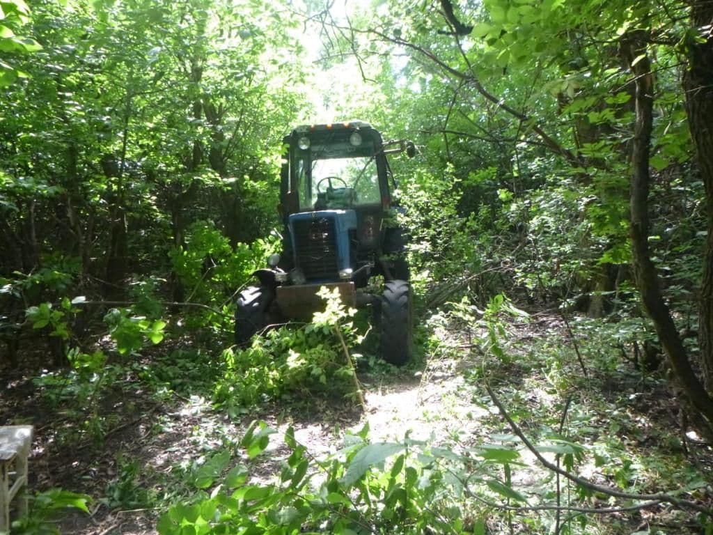 На Полтавщині робітник викрав трактор і заховав у лісі
