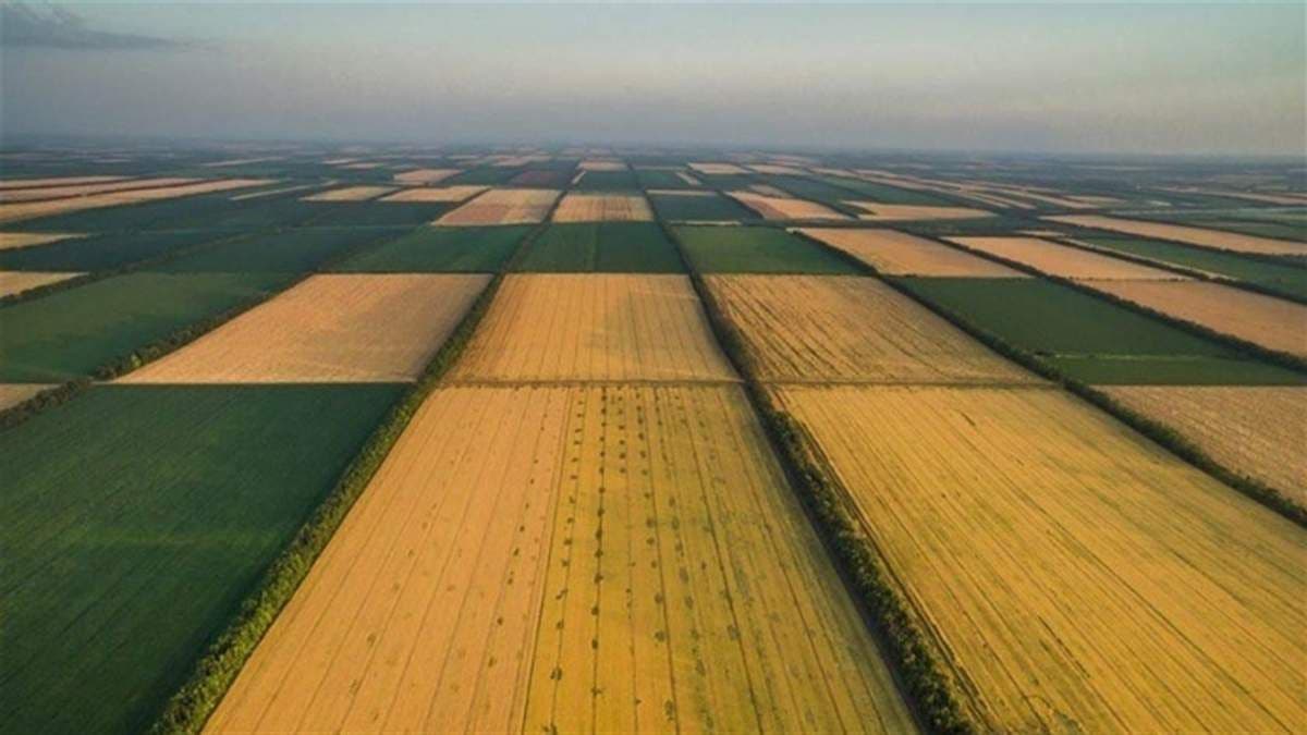 Як підготуватися до продажу паю?(ІНФОГРАФІКА)