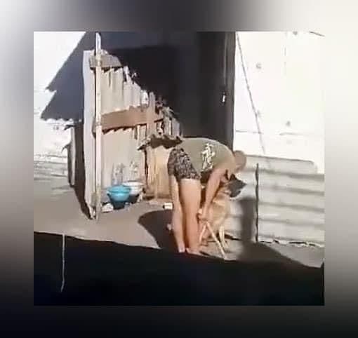 На Полтавщині чоловік знущався з домашньої тварини