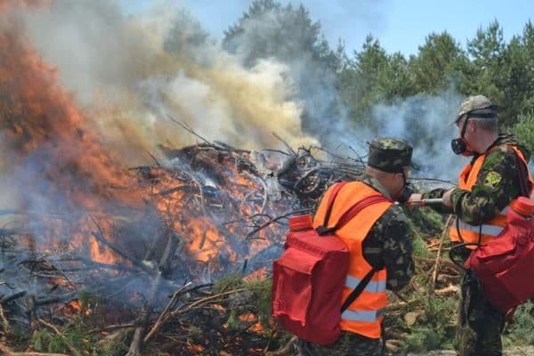 У Полтаві в порівнянні з минулим роком кількість лісових пожеж зменшилась у 12 разів
