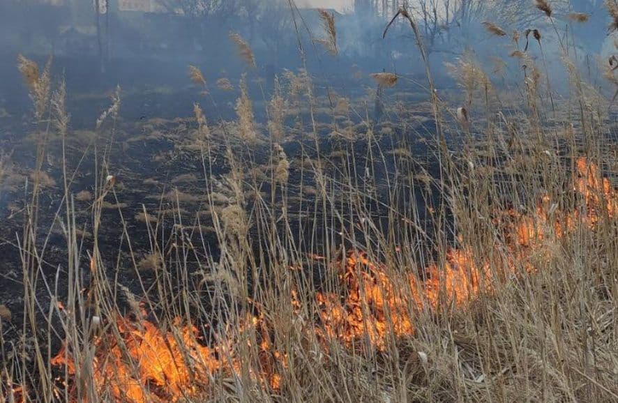 На Полтавщині за добу рятувальники ліквідували 12 пожеж на відкритих територіях