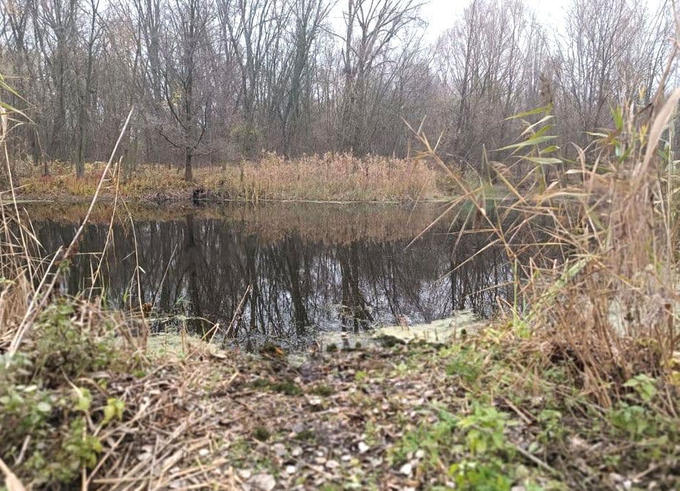У водоймі на Полтавщині знайшли мертвого чоловіка