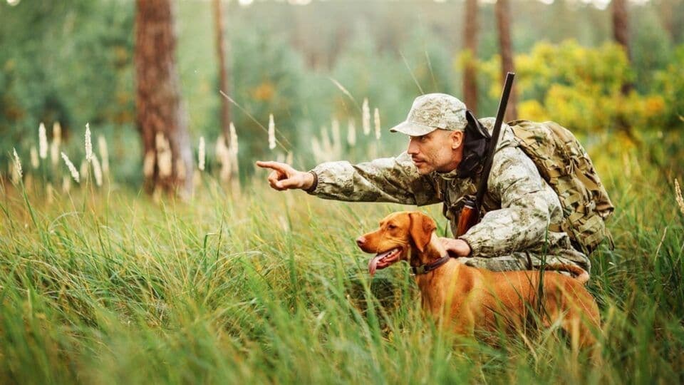 На період дії воєнного стану на Полтавщині заборонили полювання