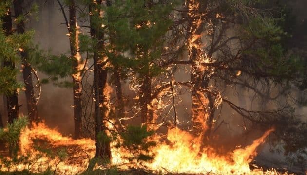 На Полтавщині оголосили найвищий рівень пожежної небезпеки