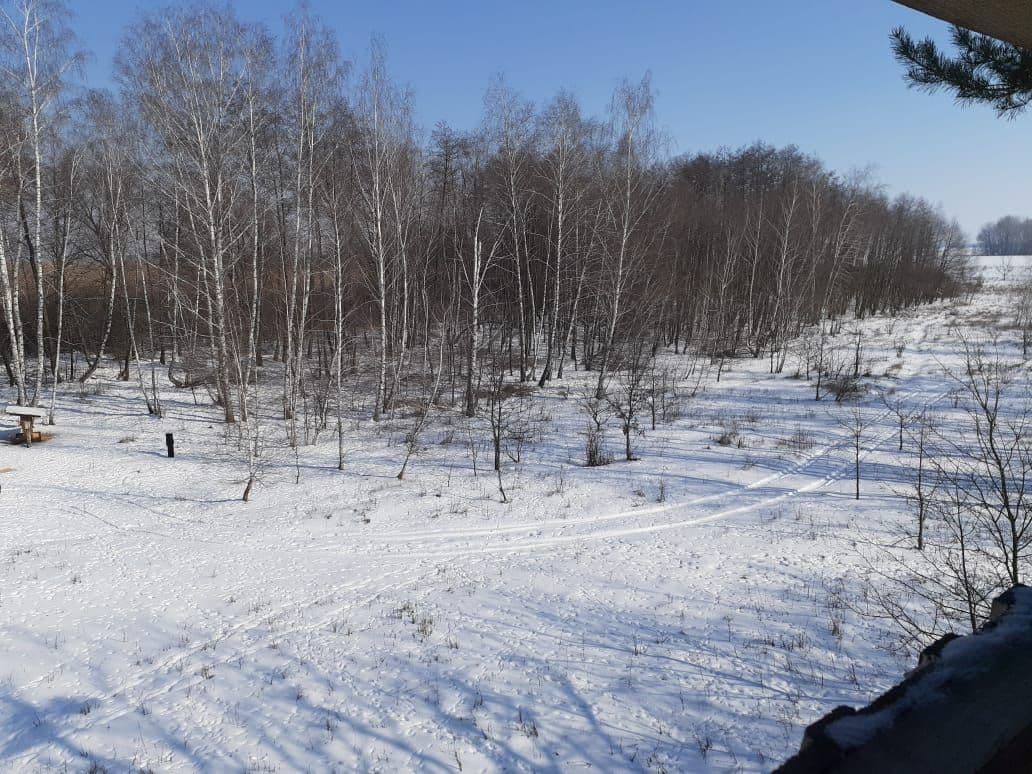 На Полтавщині в Новосанжарському лісгоспі виявили порушення: до адмінвідповідальності притягнули 8 людей