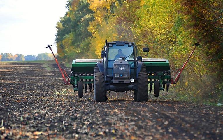 На Полтавщині засіяли понад 200 тисяч гектарів озимових культур