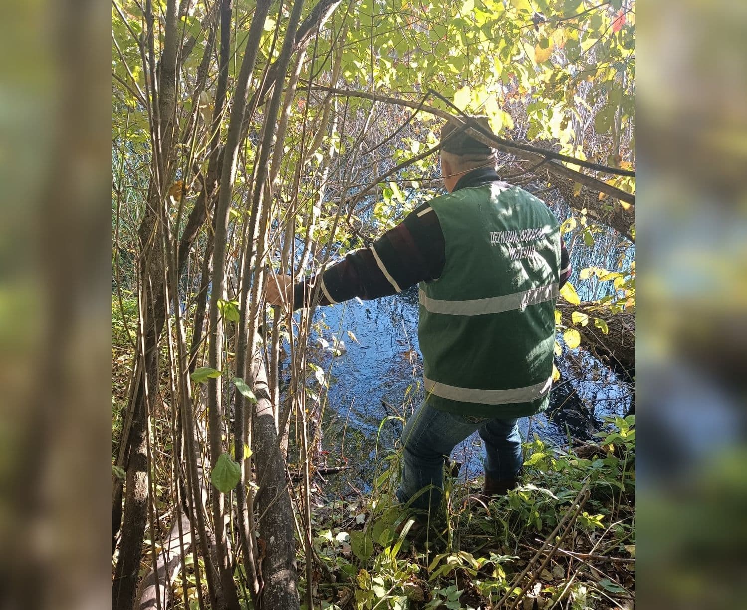 У ставок на Полтавщині витекла небезпечна речовина, яка забруднила воду й ґрунт