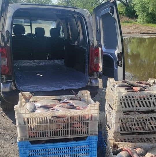 На Полтавщині зупинили чоловіка, який перевозив рибу без документів