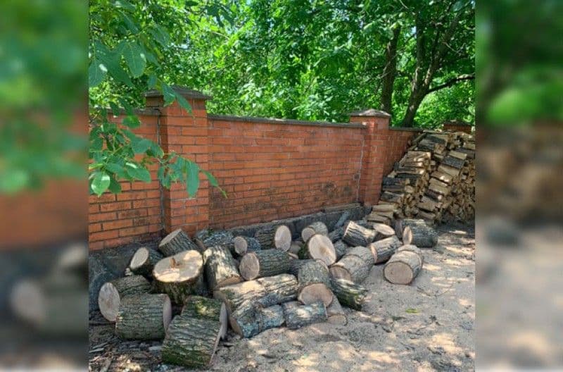 На Полтавщині 54-річний чоловік рубав дерева у заповіднику