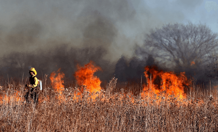 На Полтавщині 8 днів горить національний парк