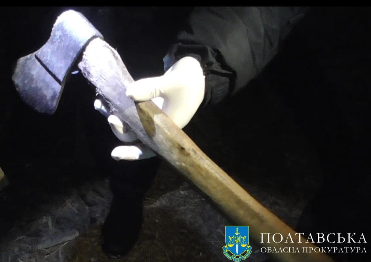 Вдарив дружину сокирою — у громаді на Полтавщині чоловіка засудили на сім років