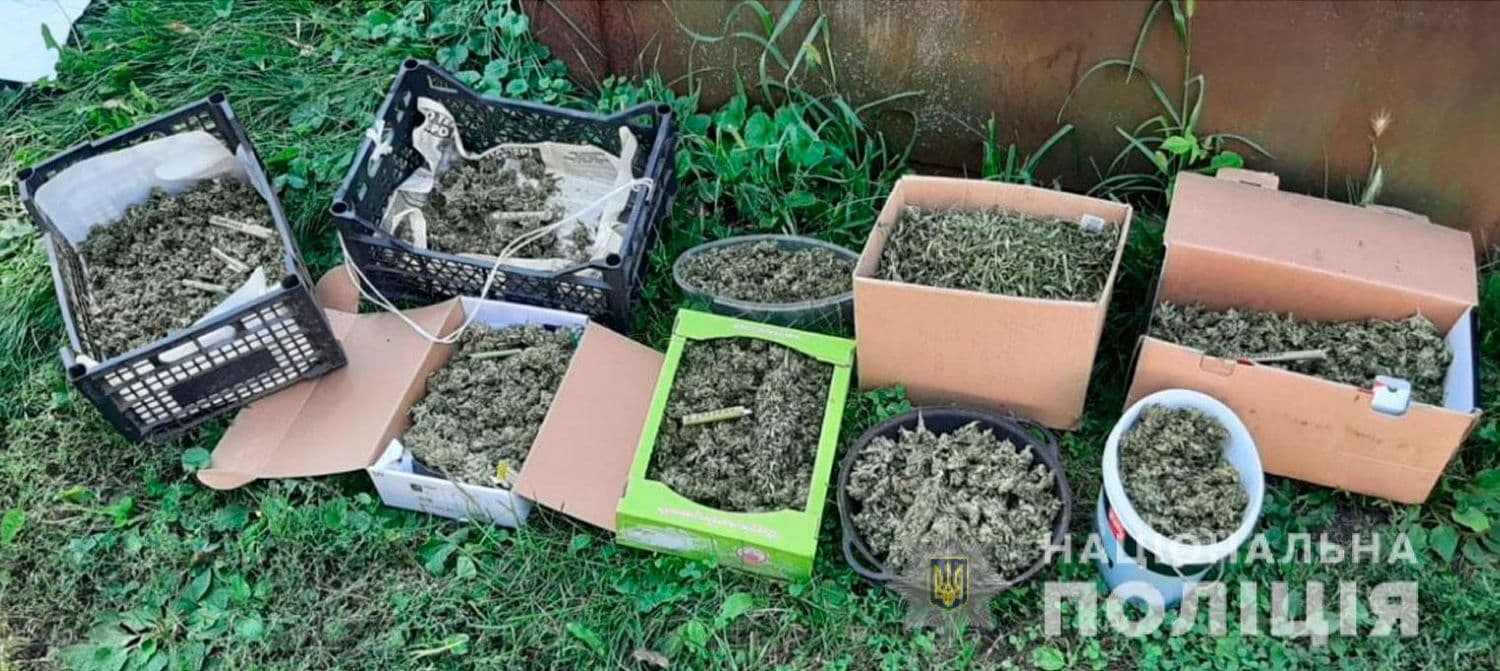 На Полтавщині у 59-річного чоловіка вилучили понад два кілограми канабісу