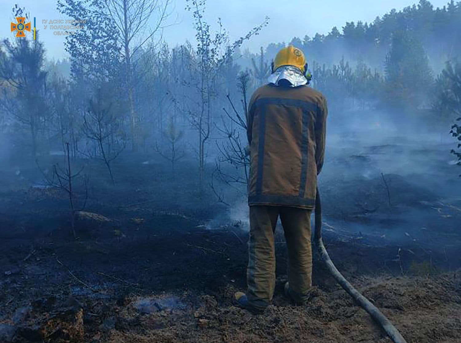 У Миргородському районі загорівся ліс