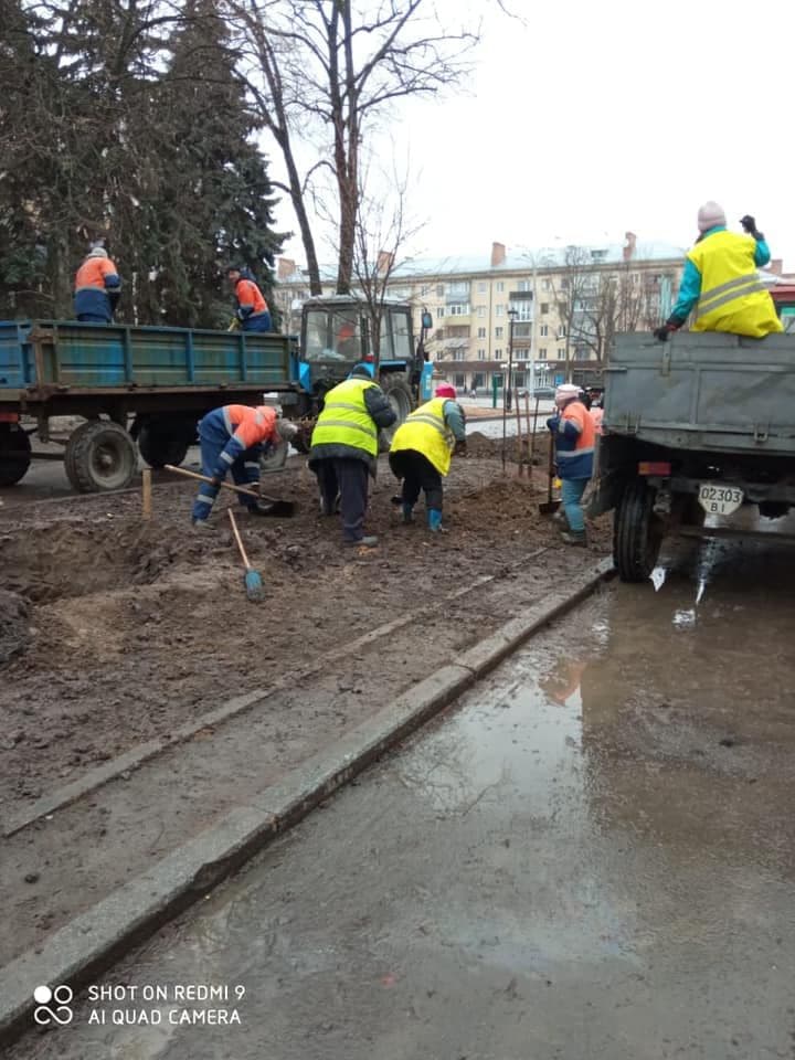 У Полтаві на бульварі Гоголя висадили нові липи