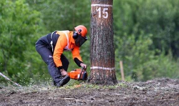 Лісоруба з Полтавщини нагородили Грамотою «За заслуги перед Українським народом»
