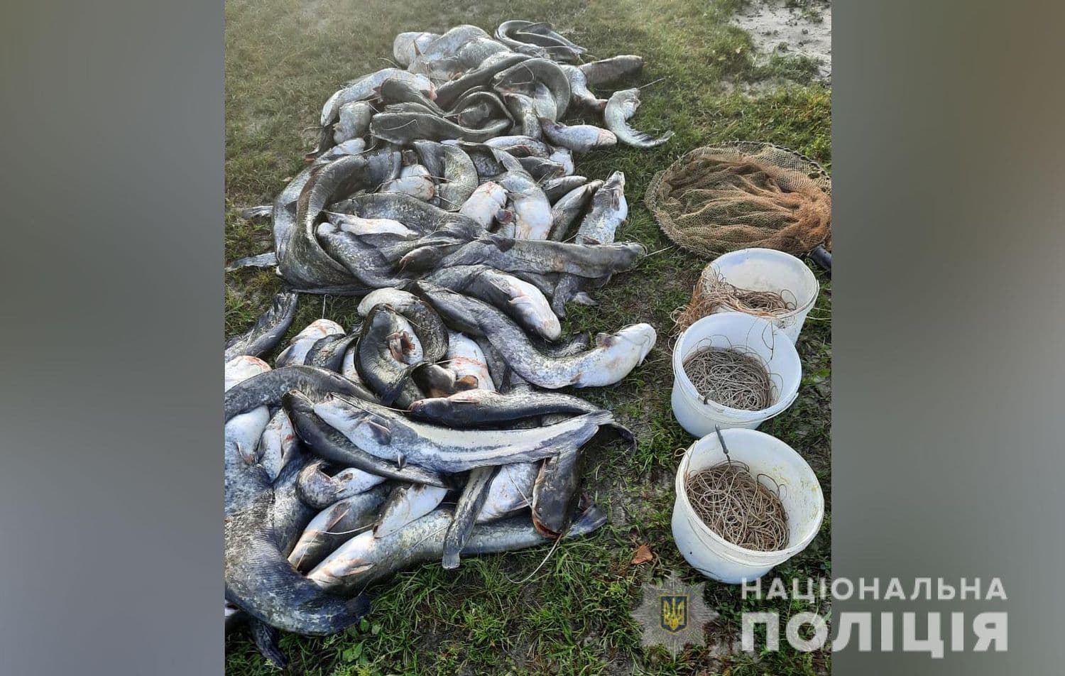 На Полтавських водоймах продовжують  орудувати браконьєри (фото)