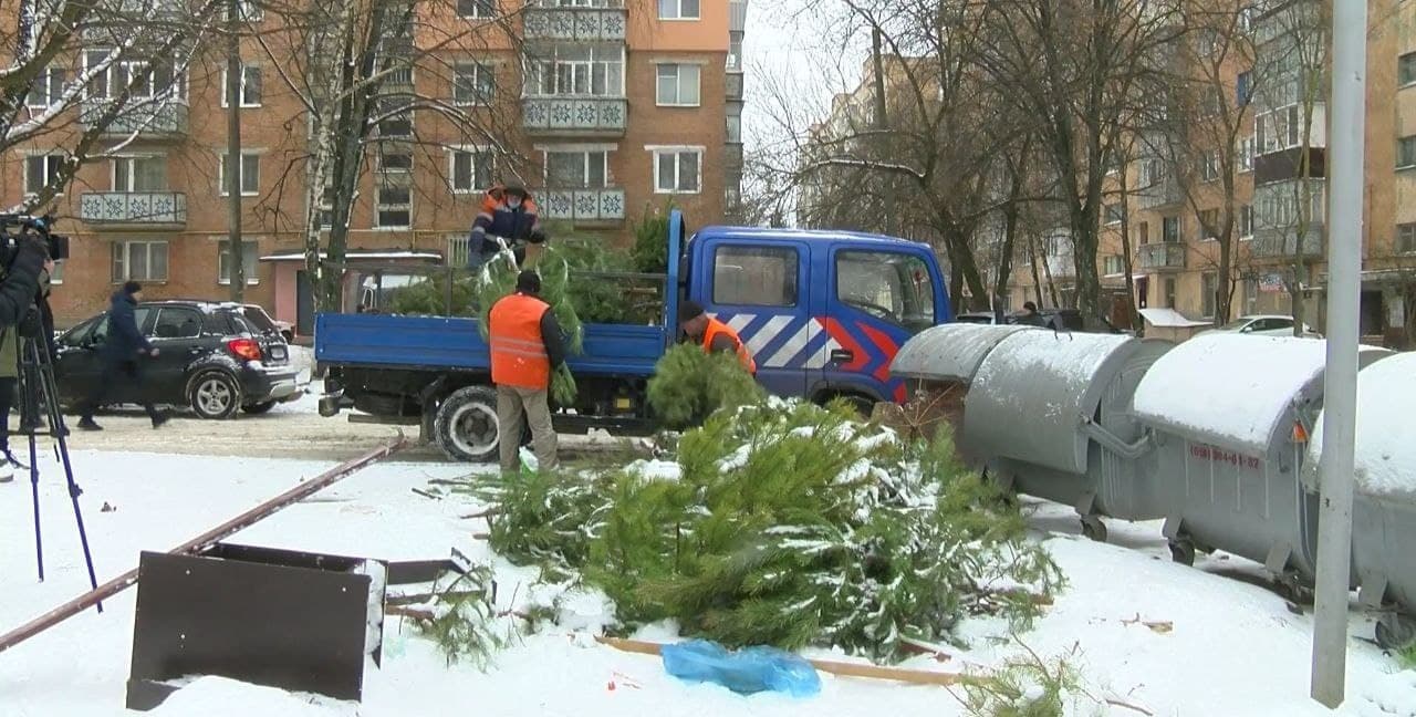 У Полтаві новорічні ялинки не викидають, а використовують для обігріву приміщень