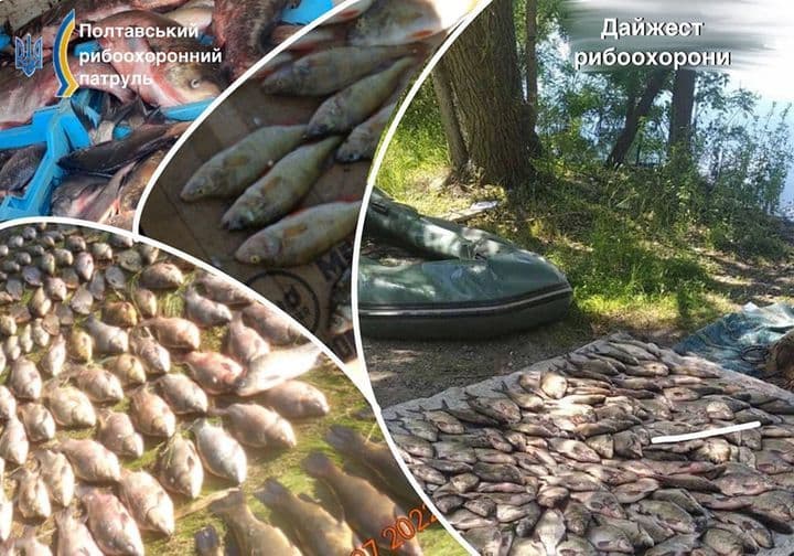 За літо браконьєри на Полтавщині виловили понад три тонни риби на понад 4,5 мільйона