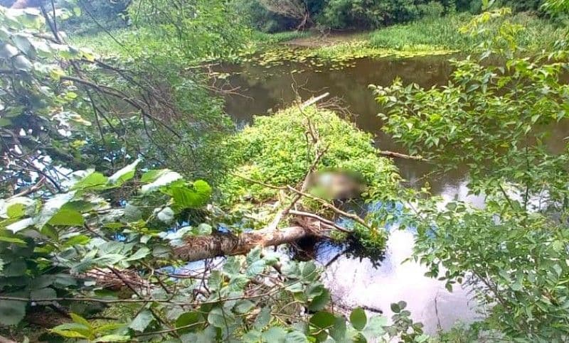 Потопельник, якого знайшли у Ворсклі вважався безвісно зниклим: подробиці