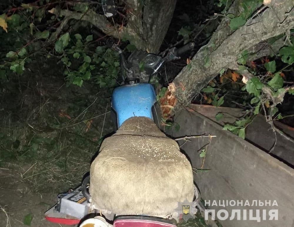 На Шишаччині мотоцикліст влетів у дерево