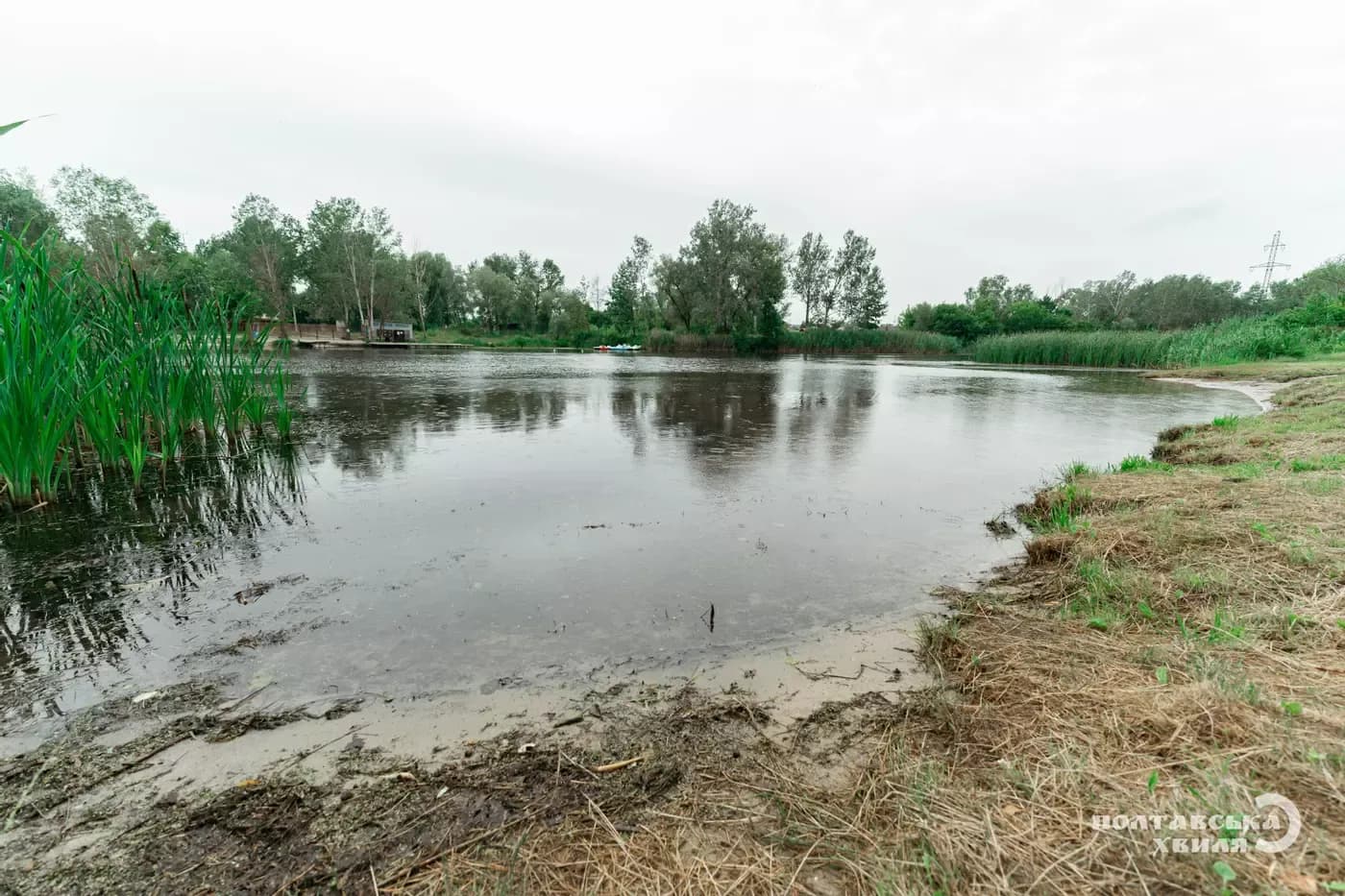 Огляд пляжів Полтави та модульні вбиральні — головне за 4 липня