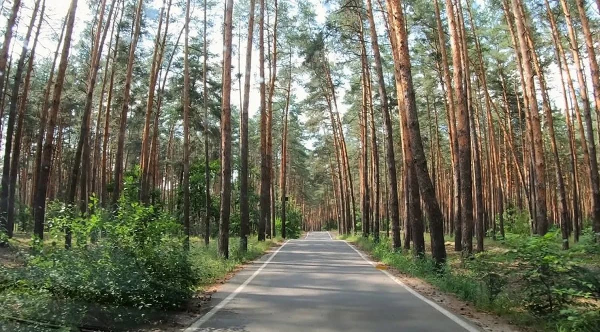 На Полтавщині хочуть створити два нові ландшафтні заказники