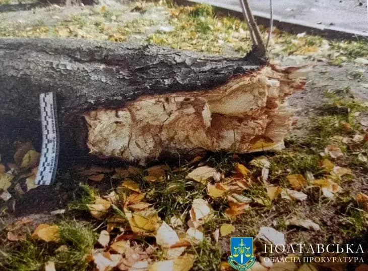 Судитимуть посадовиць, підозрюваних у загибелі дитини в Кременчуцькому дитсадку
