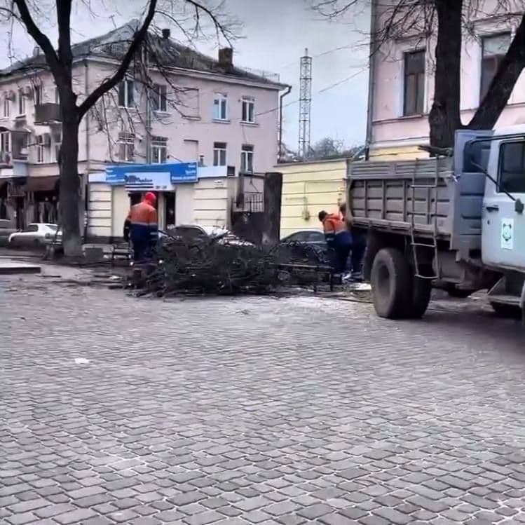 У Полтаві комунальники зрізали аварійні дерева