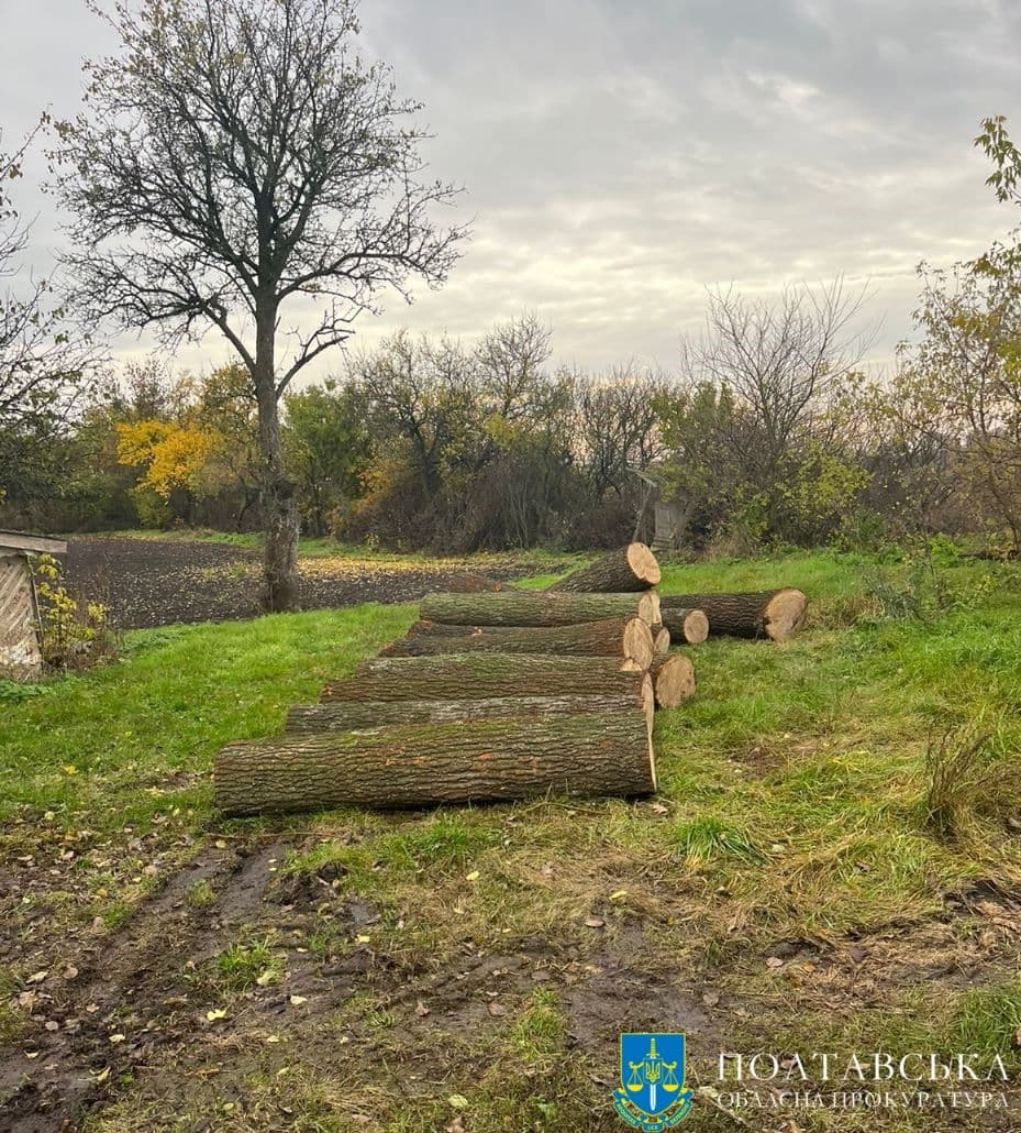 На Полтавщині судитимуть ексначальника поліції за хабар від «чорних лісорубів» 