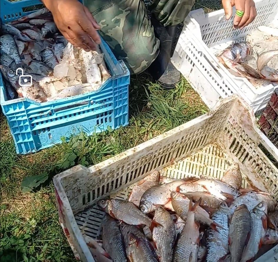 На Кременчуцькому водосховищі рибалка завдав збитків на майже 150 тис. грн (фото)