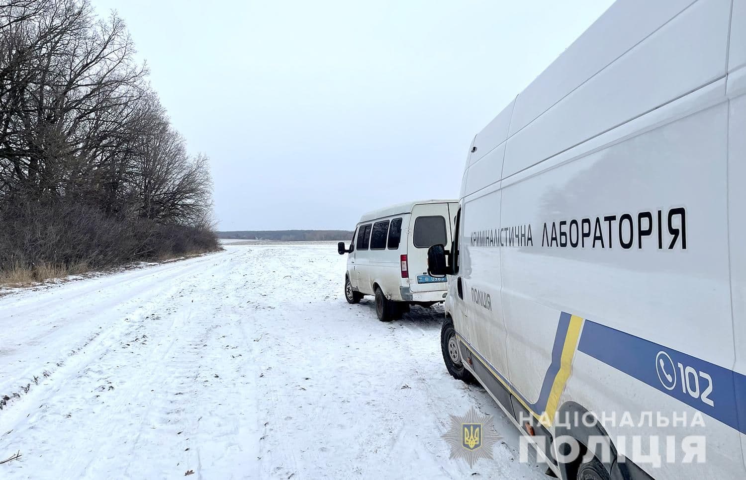 На Миргородщині в лісосмузі знайшли тіло чоловіка