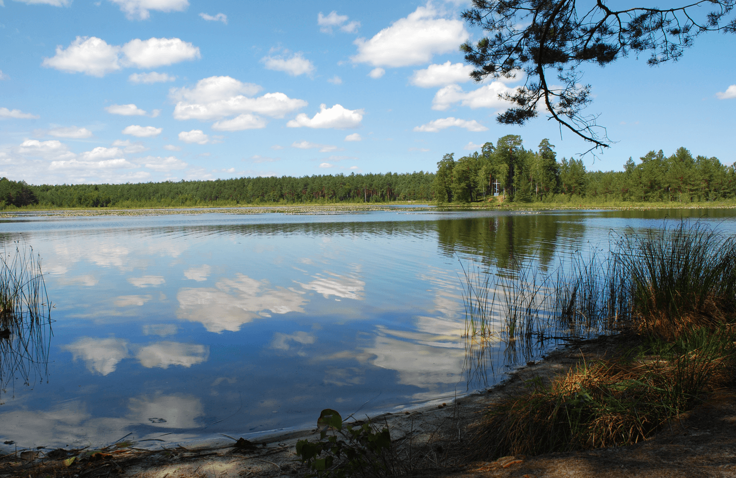 На Полтавщині з озера дістали тіло чоловіка